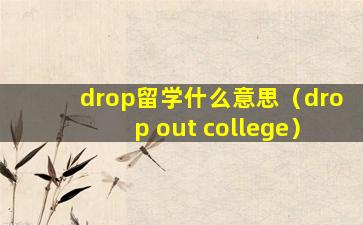 drop留学什么意思（drop out college）